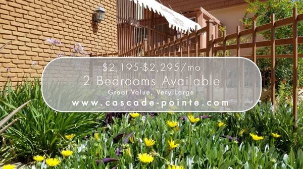 $2195.00 / 2br - 1010ft2 - Large 2-Bedroom - Great Value - Gorgeous, with Balcony - In an Up-and-Coming Areas