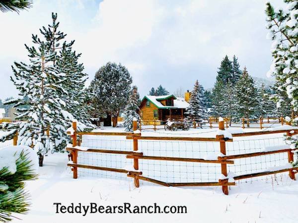 $250 / 4br - 30000ft2 - Teddy Bears Ranch in Big Bear (Big Bear)s