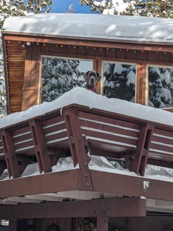 $5,800 / 2000ft2 - 3 Bedroom, 3 Bath 2000 Square Foot Unit Available Dec 1 (Alpine Meadows)s