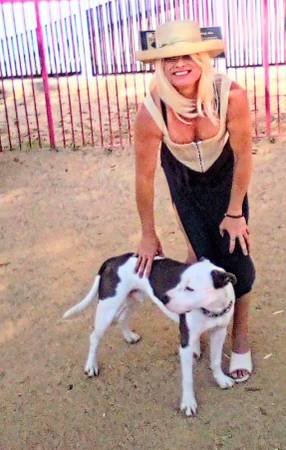 Responsible Voucher Holder (HACLA) Seeks Safe 1-Bedroom (Long Beach)s