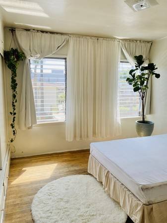 $1,250 Furnished Private Bedroom in Central Hollywood. Sunny + Spacious (Hollywood)s