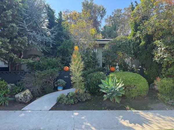 $1,800 / 3br - Venice Beach Bedroom (Furnished) - Flexible Terms