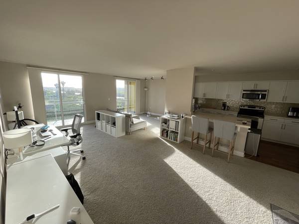 $4,000 / 1br - 980ft2 - Spacious Modern Marina Del Rey Apartment Sublet Dec 1st to Jan 1st (Marina Del Rey)s