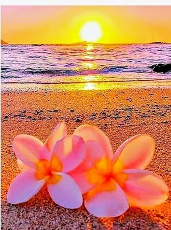 Licensed Esthetician with Massage Services (Sherman Oaks) Licensed Esthetician with Massage Services (Sherman Oaks)