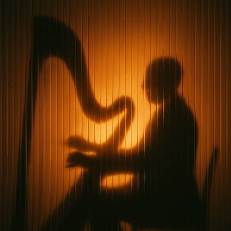 Live Harpist for Your Wedding, Party, or Private Event Live Harpist for Your Wedding, Party, or Private Event