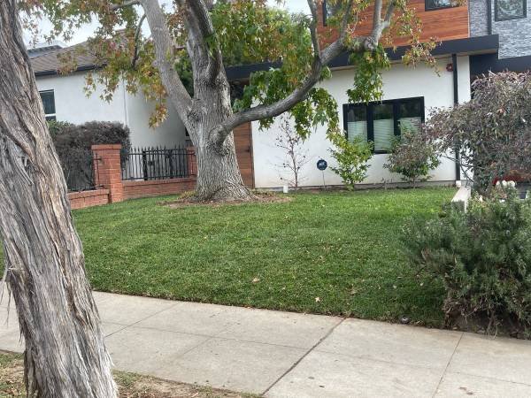 Garden Lawn Care (Venice) Garden Lawn Care (Venice)