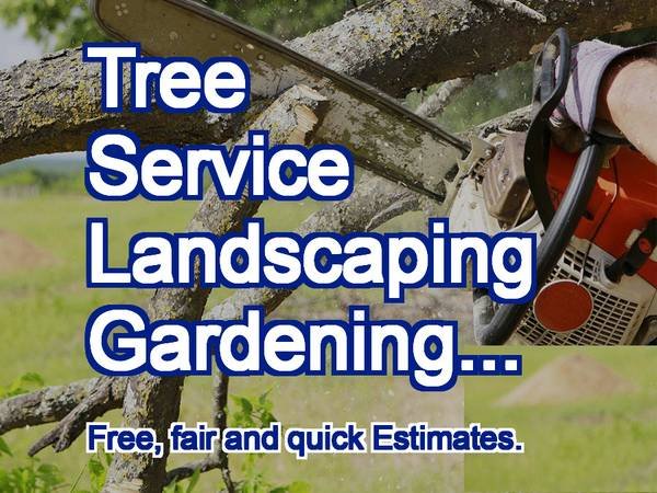 PRO Tree Specialist, Landscaping, more. Estimates. (Los Angeles, West, South. Orange County, more.)s