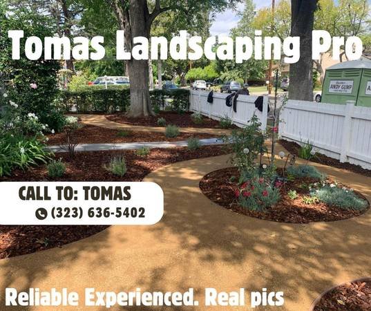 TOMAS Landscaping, Gardening, Artificial Grass, Trees, more. (San Gabriel Valley, Los Angeles, more.) TOMAS Landscaping, Gardening, Artificial Grass, Trees, more. (San Gabriel Valley, Los Angeles, more.)