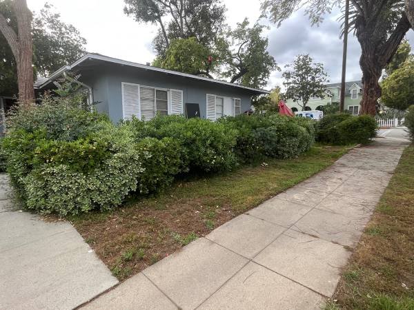 Gardener Lawn Mow Cleanup Tree Trim Junk Removal (Los Angeles) Gardener Lawn Mow Cleanup Tree Trim Junk Removal (Los Angeles)