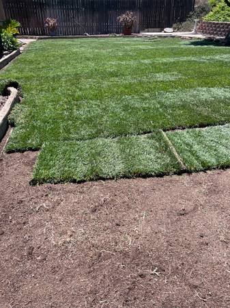 Sod Installation (I take credit cards) (West Covina) Sod Installation (I take credit cards) (West Covina)