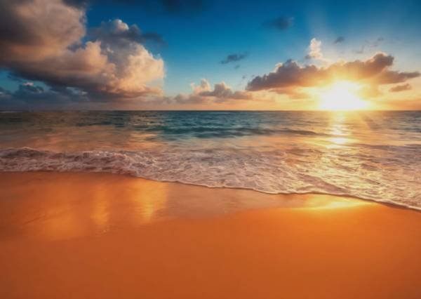 Professional Massage (Sherman Oaks) Professional Massage (Sherman Oaks)