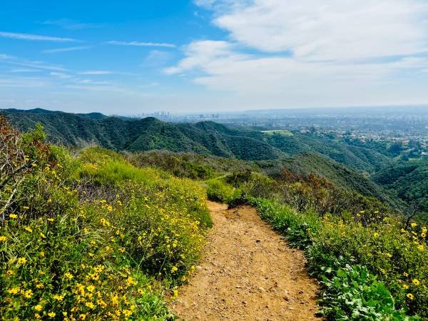 Life Coach: Private Walking / Hiking Sessions (310, 323, 818) Life Coach: Private Walking / Hiking Sessions (310, 323, 818)