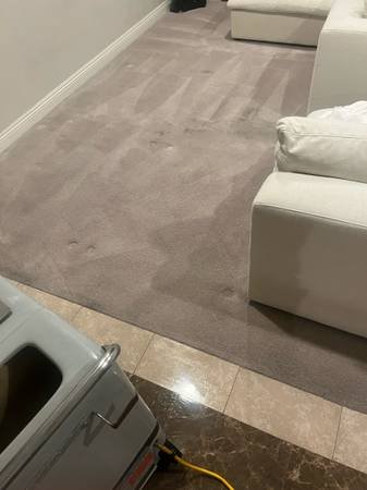 Moving In or Out Specials and Carpet Cleaning (Los Angeles) Moving In or Out Specials and Carpet Cleaning (Los Angeles)