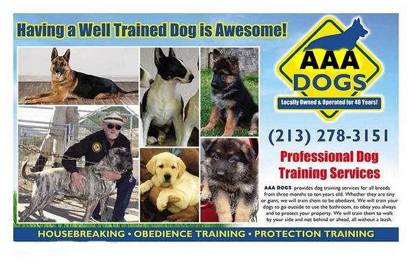 Dog Boarding by Professional Dog Trainer (Torrance)s