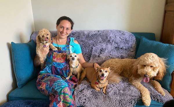 Dog Boarding, Dog Sitting Pet Sitter and Doggy Daycare in Woodland Hills (Woodland Hills) Dog Boarding, Dog Sitting Pet Sitter and Doggy Daycare in Woodland Hills (Woodland Hills)