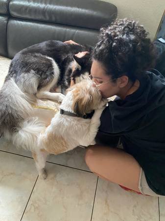 $75.00 per Night House Sitting - Animal Lover and Enthusiast (Highland Park/Eagle Rock/Los Angeles) $75.00 per Night House Sitting - Animal Lover and Enthusiast (Highland Park/Eagle Rock/Los Angeles)