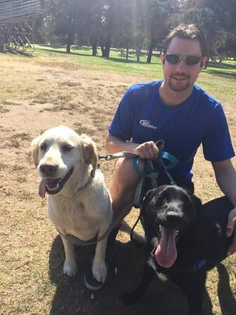 Dog and Cat House Pet Sitter (Los Angeles/Flexible) Dog and Cat House Pet Sitter (Los Angeles/Flexible)