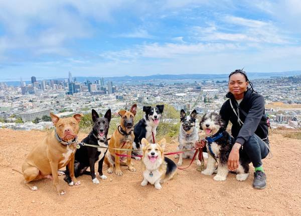 Experienced Pet Sitter/Dog Handler (East Hollywood) Experienced Pet Sitter/Dog Handler (East Hollywood)