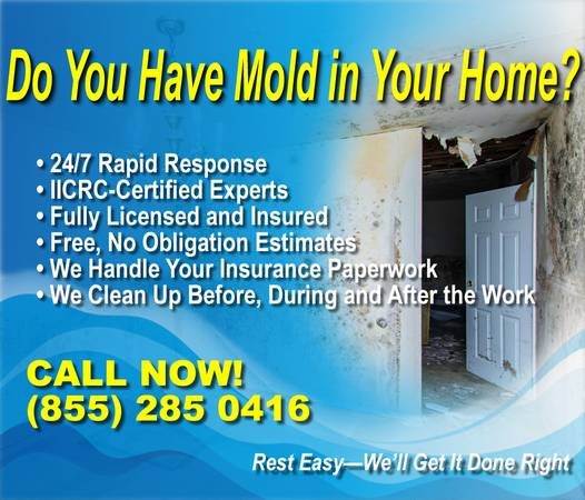 Water Damage? Flooded? Mold Removal? - 24/7 - Relief is Here (Call Now! 855-285-0416 - East Hollywood) Water Damage? Flooded? Mold Removal? - 24/7 - Relief is Here (Call Now! 855-285-0416 - East Hollywood)
