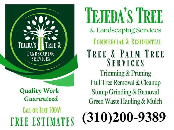 Baldwin Park Tree and Palm Service - Trimming, Removal, Stump (Baldwin Park, West Covina, El Monte, La Puente, Bassett) Baldwin Park Tree and Palm Service - Trimming, Removal, Stump (Baldwin Park, West Covina, El Monte, La Puente, Bassett)