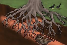 Got a Bad Sewer? We Offer "No-Dig" Systems to Save Time and Money (South Pasadena, CA) Got a Bad Sewer? We Offer "No-Dig" Systems to Save Time and Money (South Pasadena, CA)