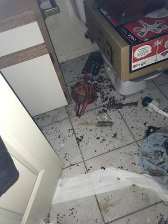 Rodent Solution (Los Angeles, CA) Rodent Solution (Los Angeles, CA)