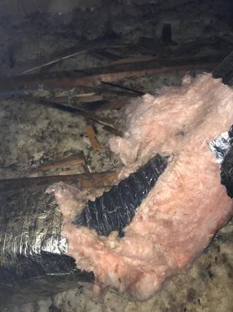 Rodent Solution (Sherman Oaks) Rodent Solution (Sherman Oaks)